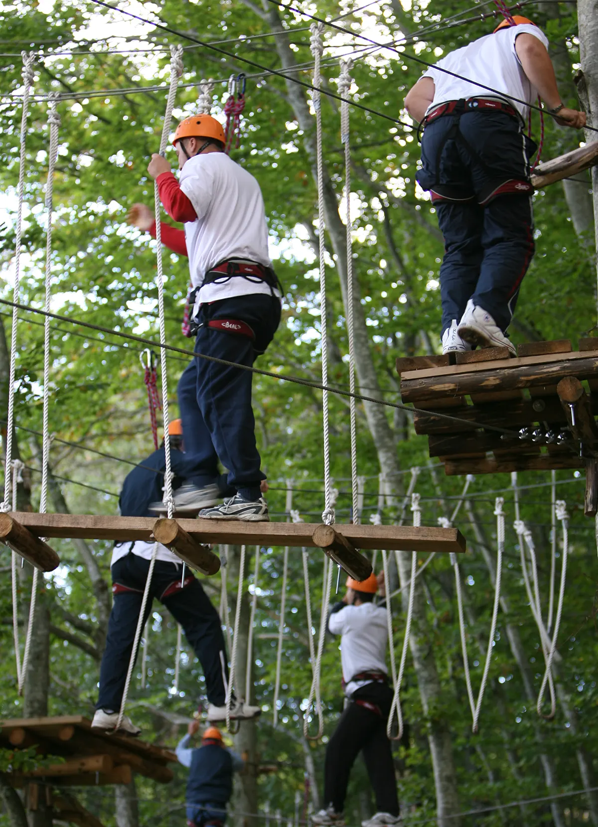 Team building